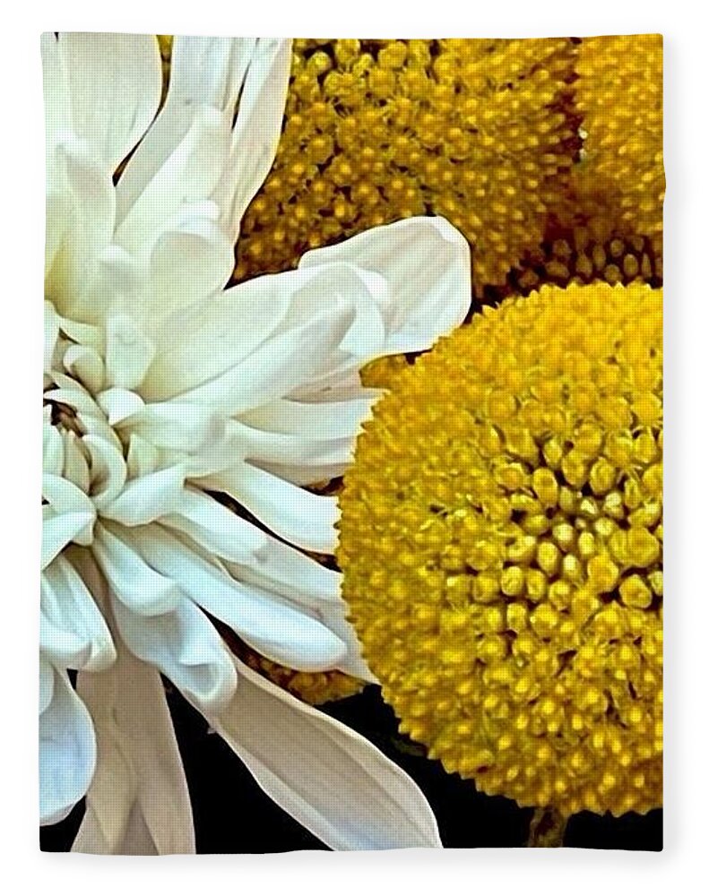 Chrysanthemum and Yellow Spheres - Blanket