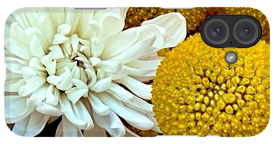 Chrysanthemum and Yellow Spheres - Phone Case