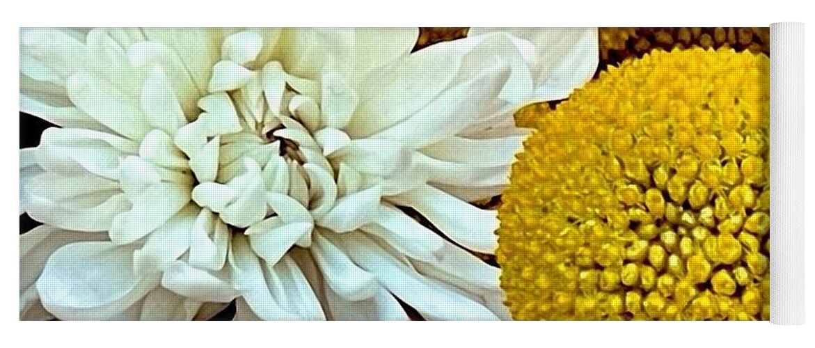 Chrysanthemum and Yellow Spheres - Yoga Mat