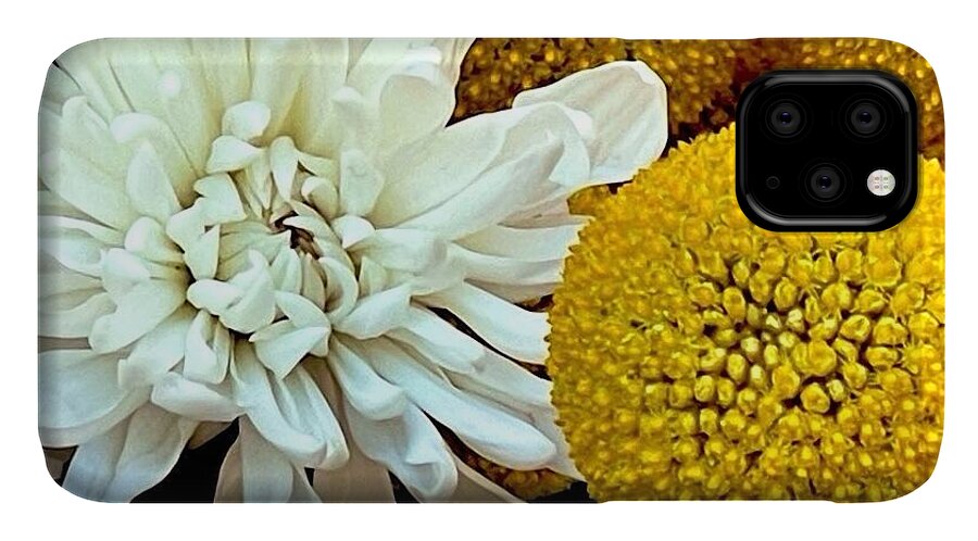 Chrysanthemum and Yellow Spheres - Phone Case