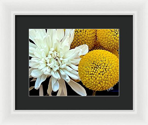 Chrysanthemum and Yellow Spheres - Framed Print