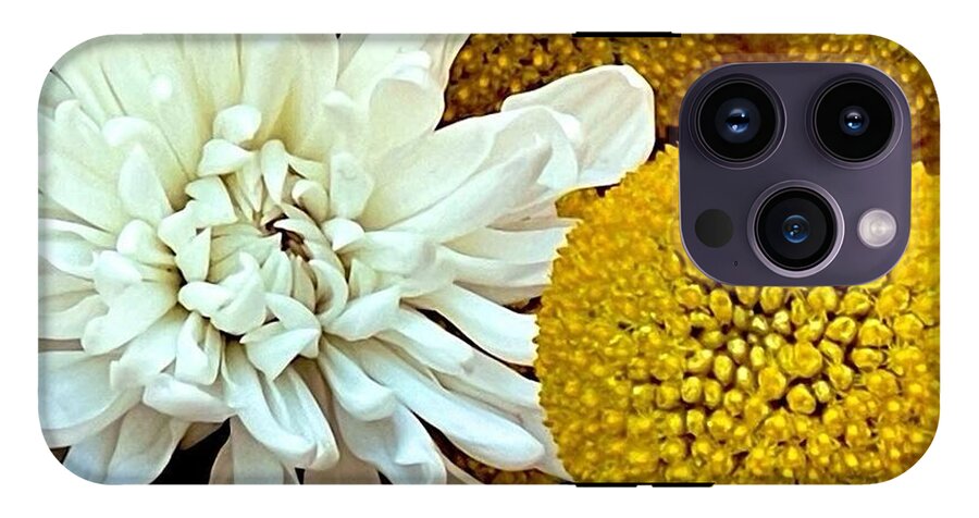 Chrysanthemum and Yellow Spheres - Phone Case
