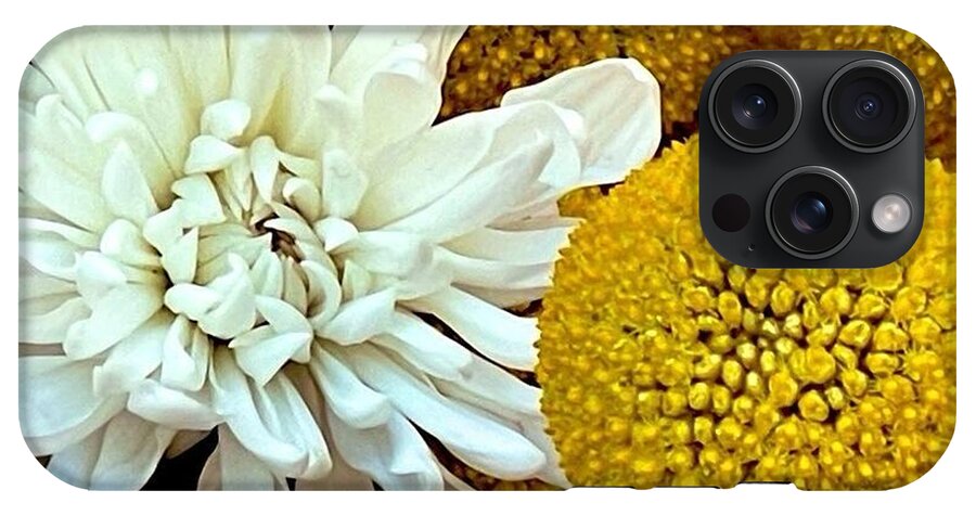 Chrysanthemum and Yellow Spheres - Phone Case