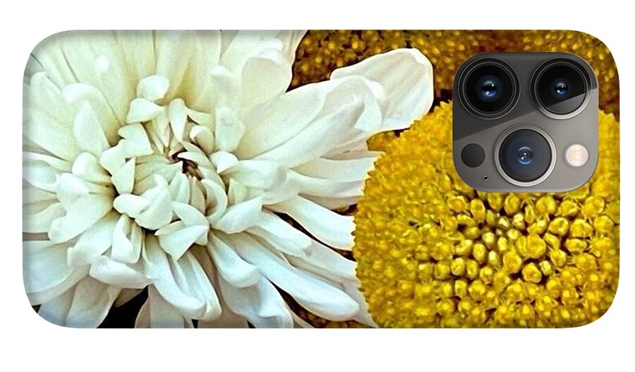 Chrysanthemum and Yellow Spheres - Phone Case