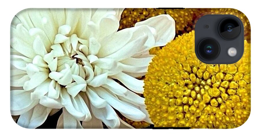 Chrysanthemum and Yellow Spheres - Phone Case