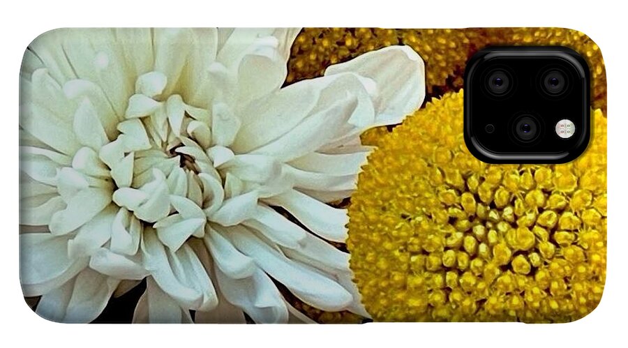 Chrysanthemum and Yellow Spheres - Phone Case