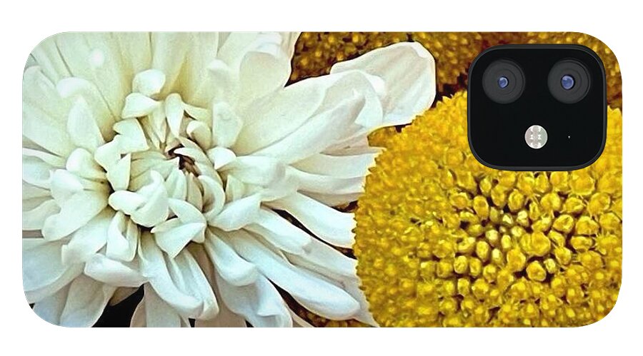 Chrysanthemum and Yellow Spheres - Phone Case
