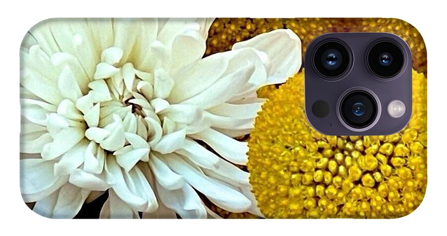 Chrysanthemum and Yellow Spheres - Phone Case