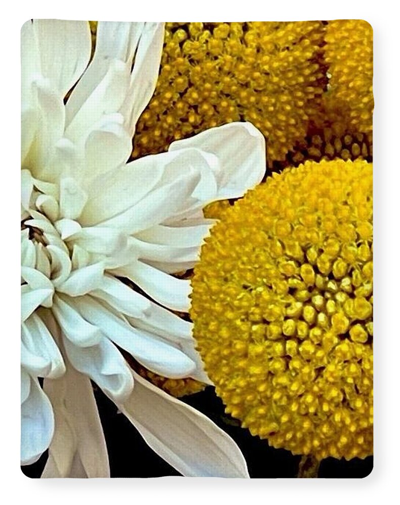 Chrysanthemum and Yellow Spheres - Blanket
