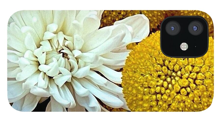 Chrysanthemum and Yellow Spheres - Phone Case