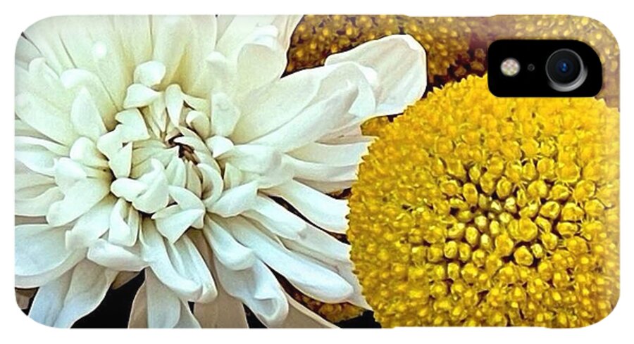 Chrysanthemum and Yellow Spheres - Phone Case