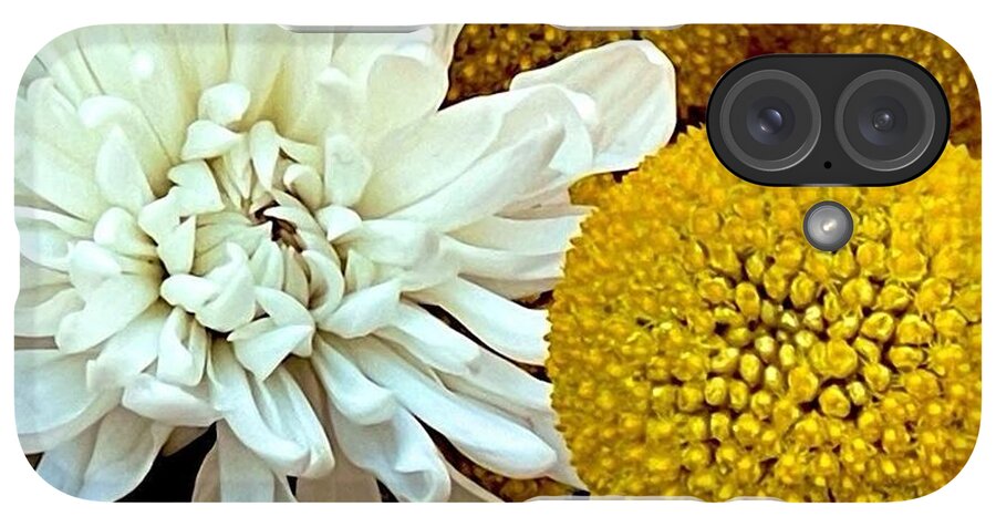 Chrysanthemum and Yellow Spheres - Phone Case