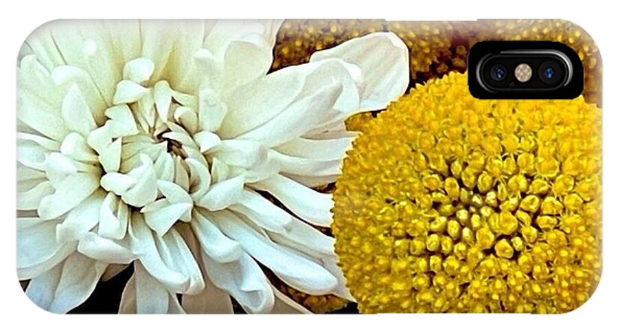 Chrysanthemum and Yellow Spheres - Phone Case