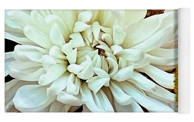 Chrysanthemum and Yellow Spheres - Yoga Mat