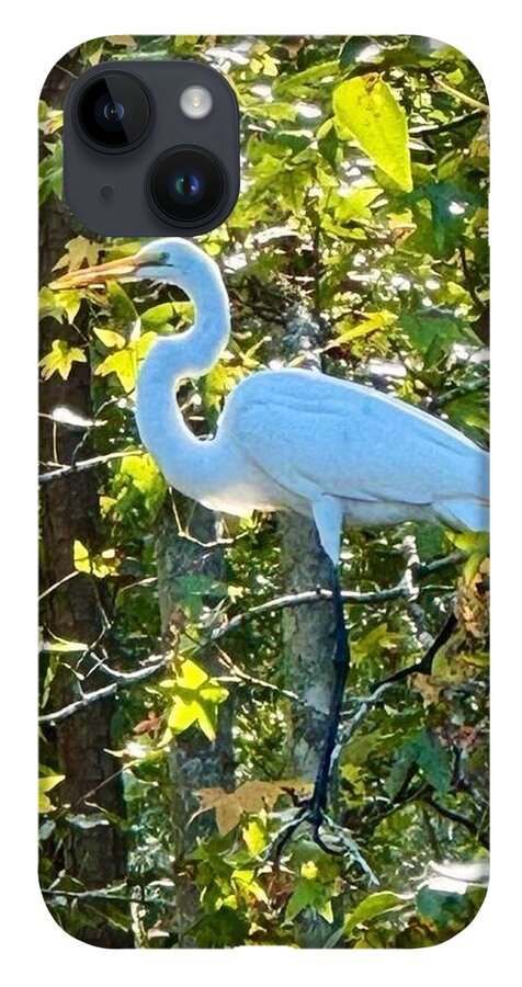 Egret Posing Among Lush Foliage - Phone Case