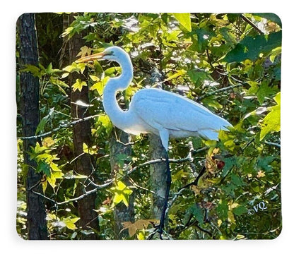 Egret Posing Among Lush Foliage - Blanket