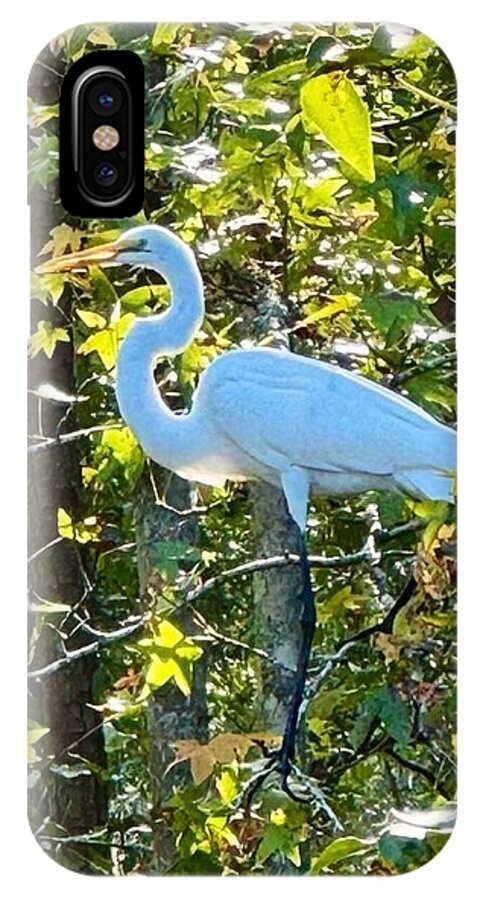 Egret Posing Among Lush Foliage - Phone Case
