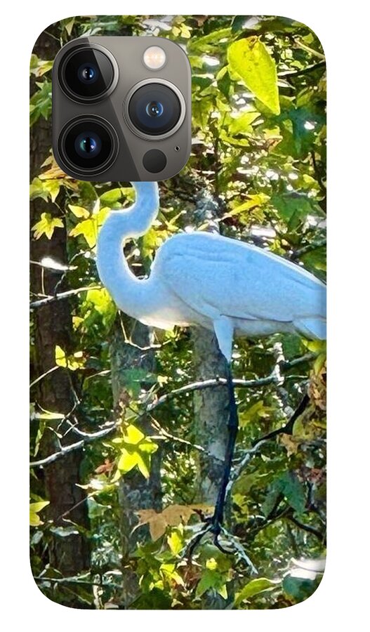 Egret Posing Among Lush Foliage - Phone Case