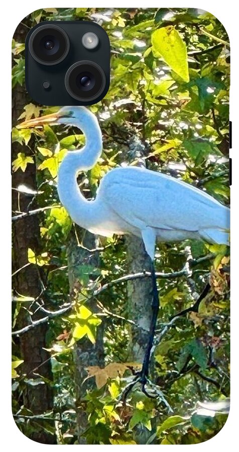 Egret Posing Among Lush Foliage - Phone Case