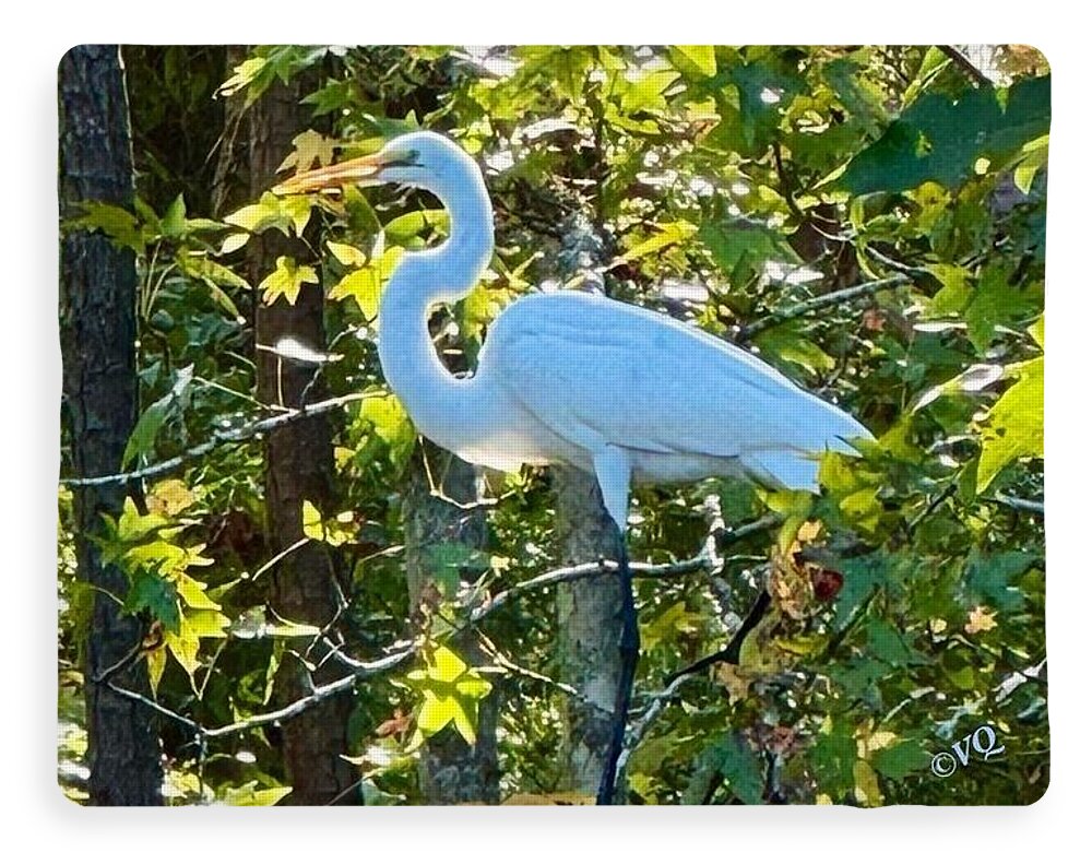 Egret Posing Among Lush Foliage - Blanket