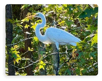 Egret Posing Among Lush Foliage - Blanket