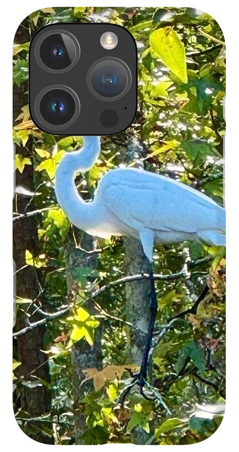 Egret Posing Among Lush Foliage - Phone Case