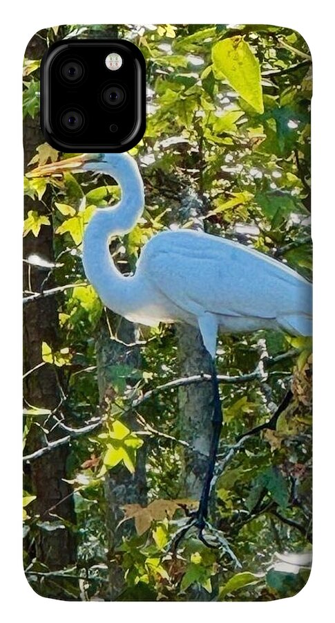 Egret Posing Among Lush Foliage - Phone Case