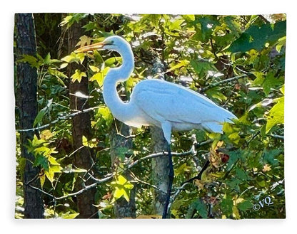 Egret Posing Among Lush Foliage - Blanket