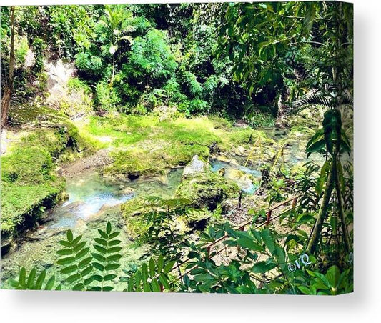 Lush Jungle Stream - Canvas Print