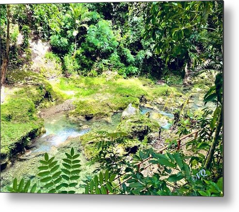 Lush Jungle Stream - Metal Print