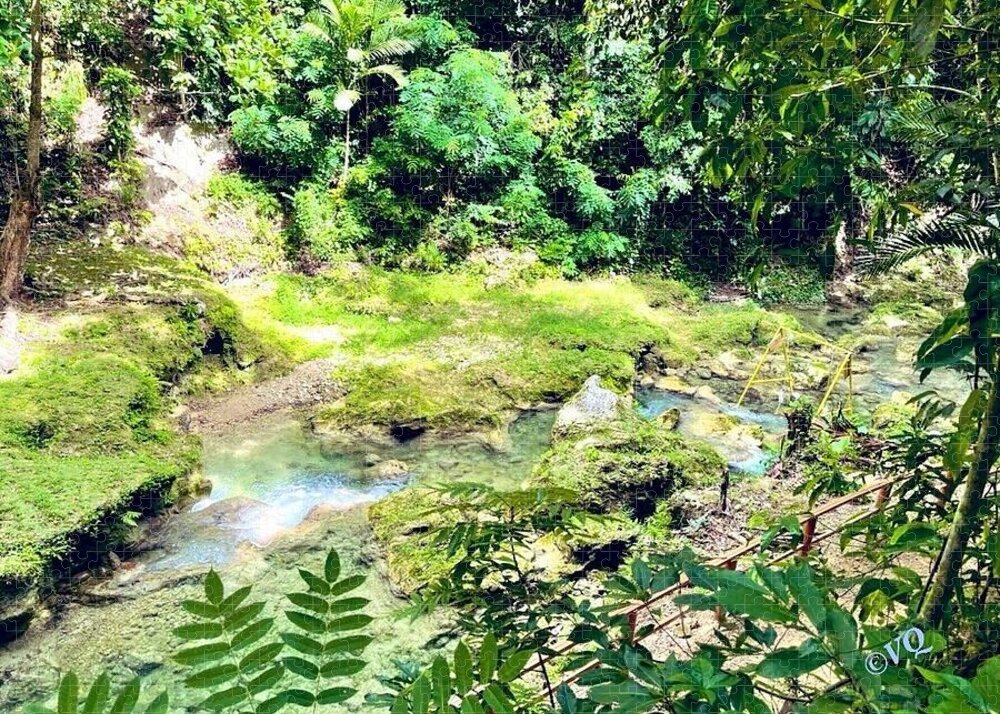Lush Jungle Stream - Puzzle