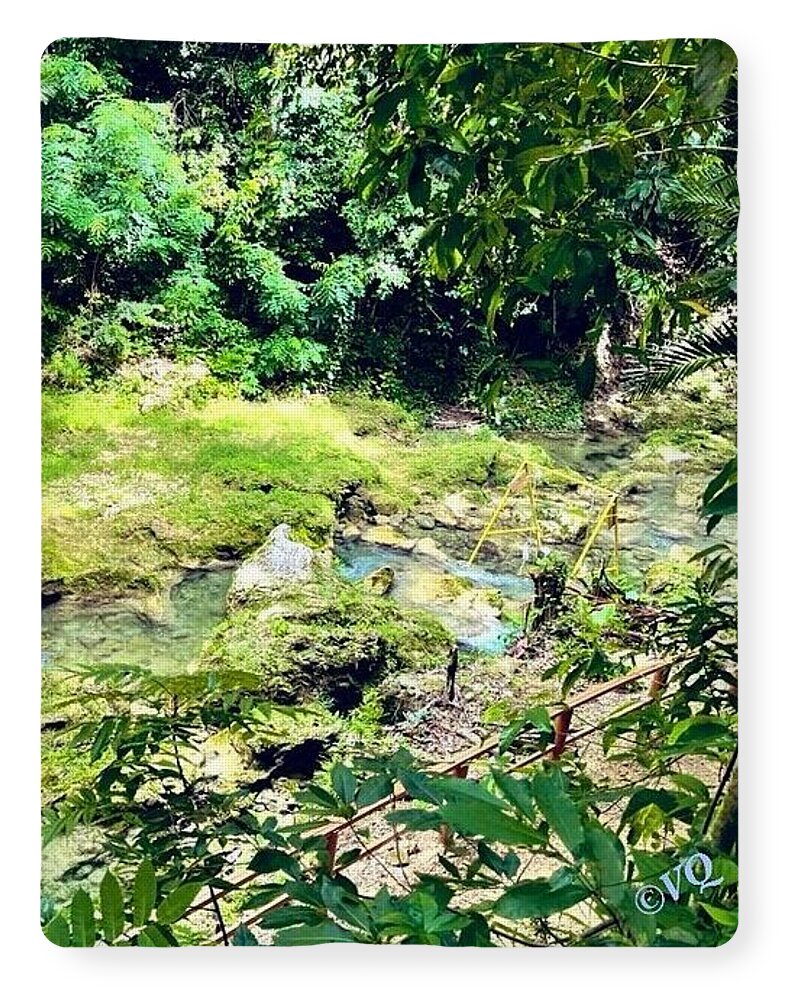 Lush Jungle Stream - Blanket