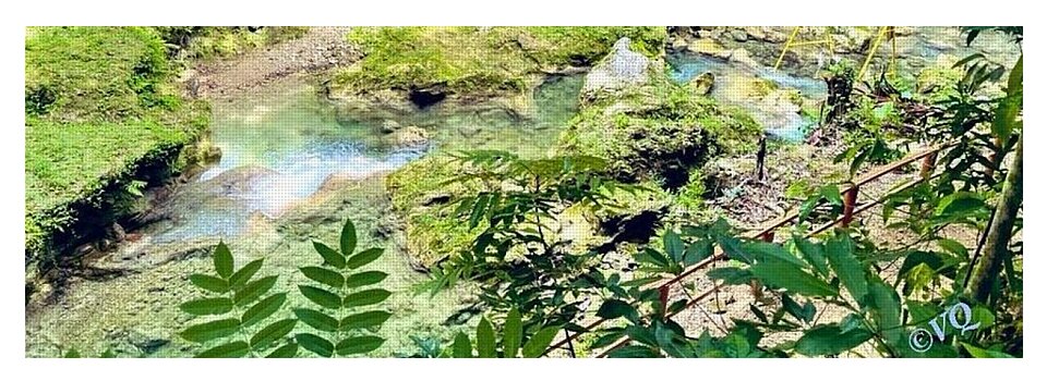 Lush Jungle Stream - Yoga Mat