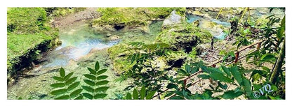 Lush Jungle Stream - Yoga Mat