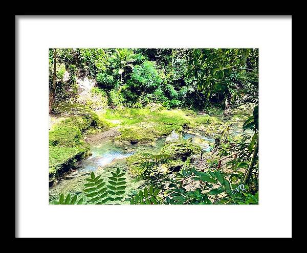 Lush Jungle Stream - Framed Print