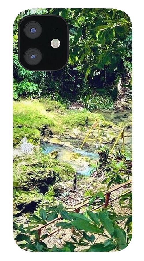 Lush Jungle Stream - Phone Case