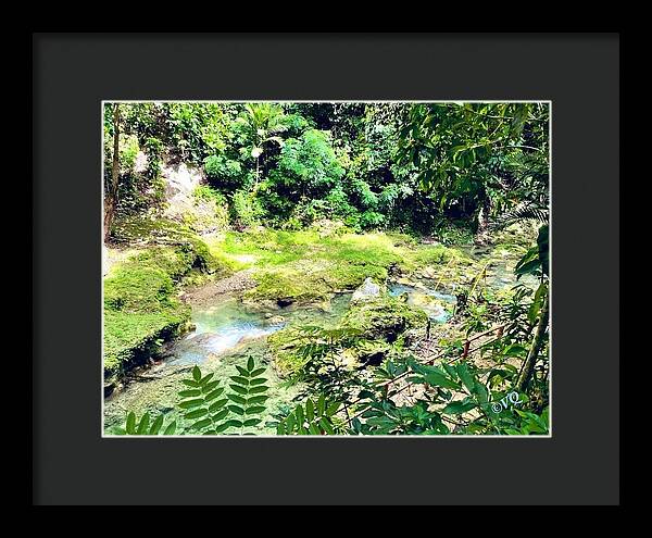 Lush Jungle Stream - Framed Print
