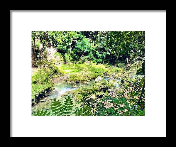 Lush Jungle Stream - Framed Print