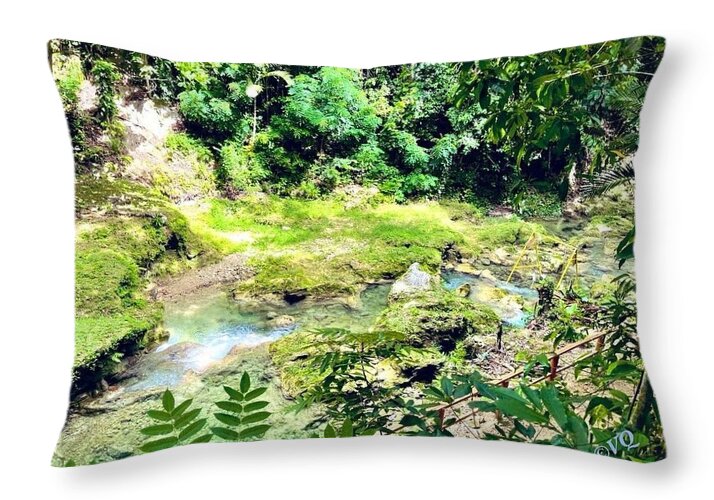 Lush Jungle Stream - Throw Pillow