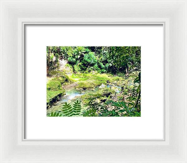 Lush Jungle Stream - Framed Print