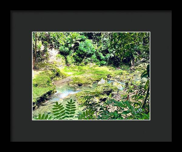 Lush Jungle Stream - Framed Print