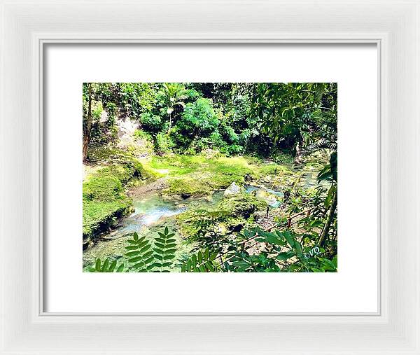 Lush Jungle Stream - Framed Print