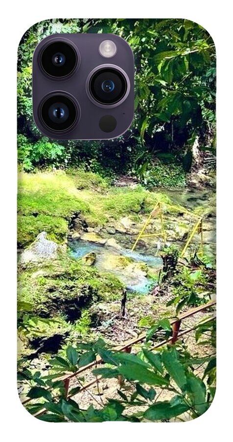 Lush Jungle Stream - Phone Case