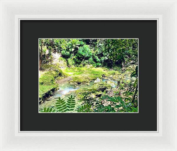 Lush Jungle Stream - Framed Print