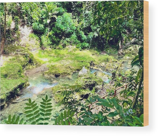 Lush Jungle Stream - Wood Print