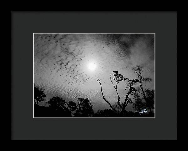 Moonlit Night with Silhouetted Trees - Framed Print