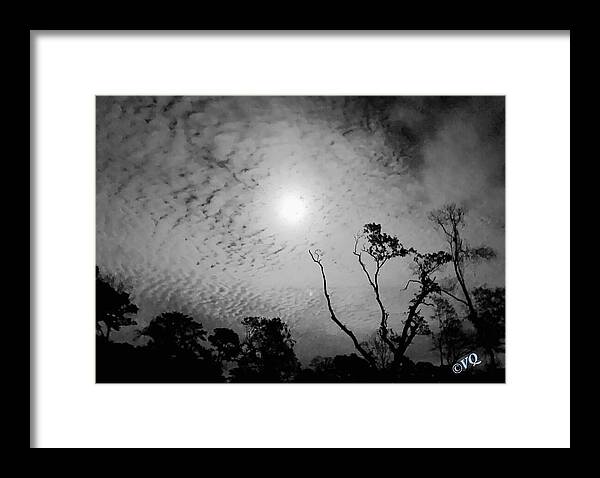 Moonlit Night with Silhouetted Trees - Framed Print