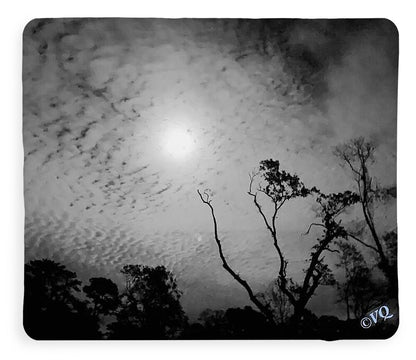 Moonlit Night with Silhouetted Trees - Blanket