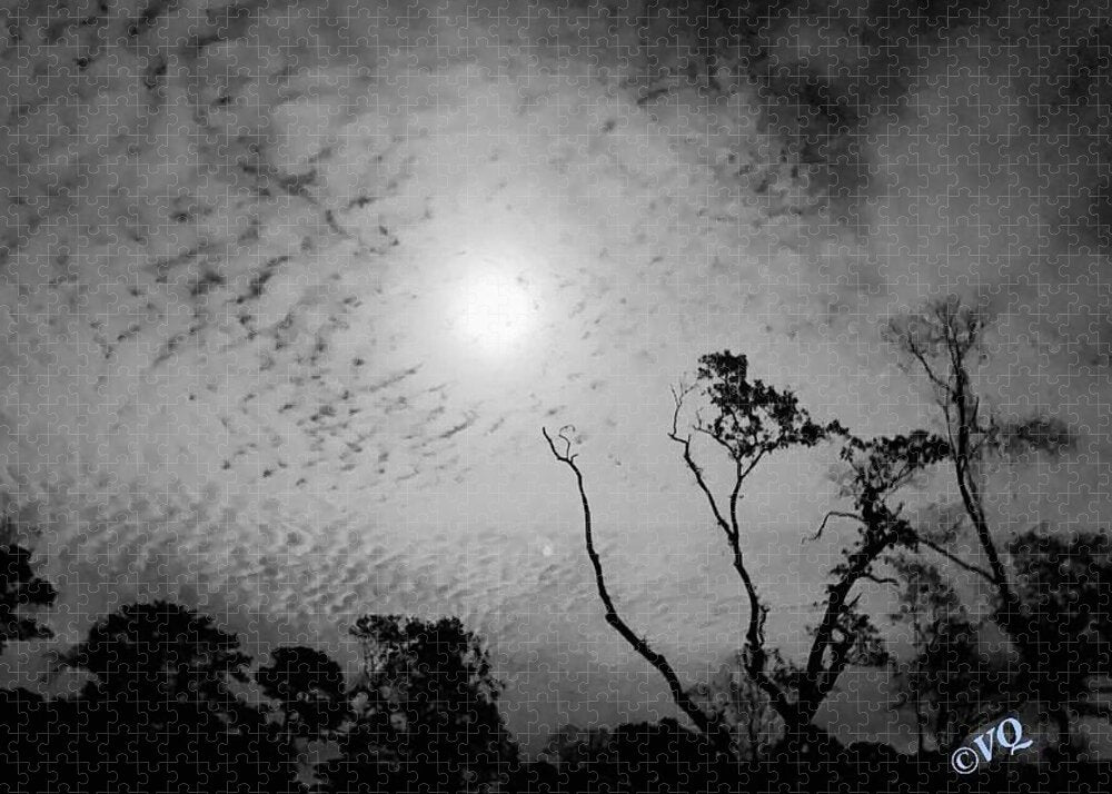 Moonlit Night with Silhouetted Trees - Puzzle