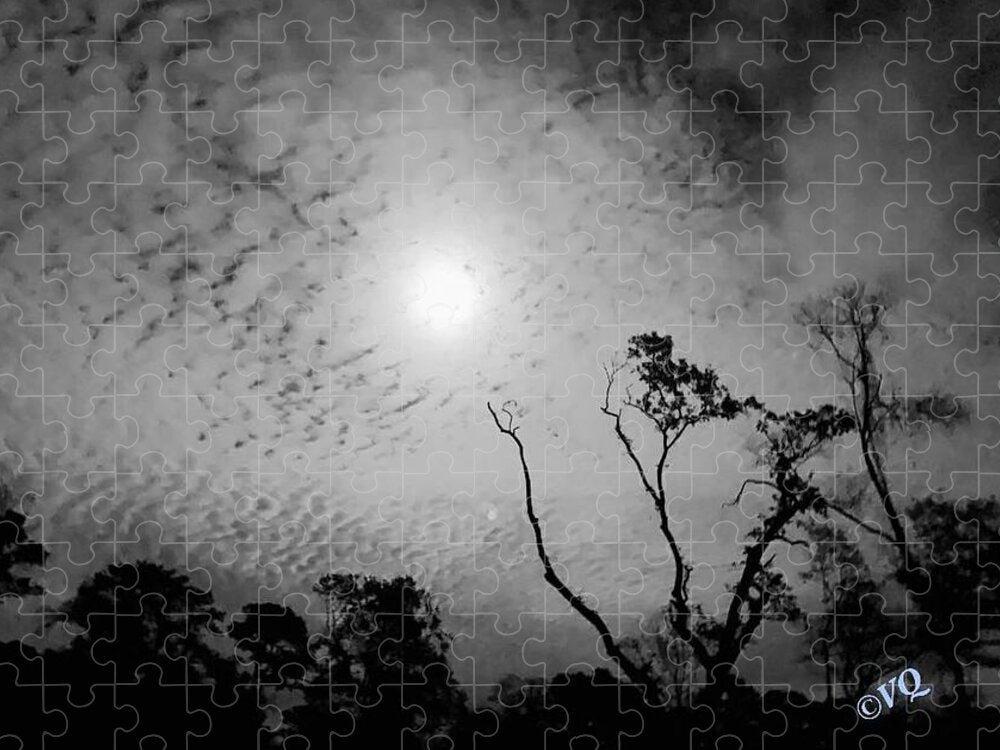 Moonlit Night with Silhouetted Trees - Puzzle